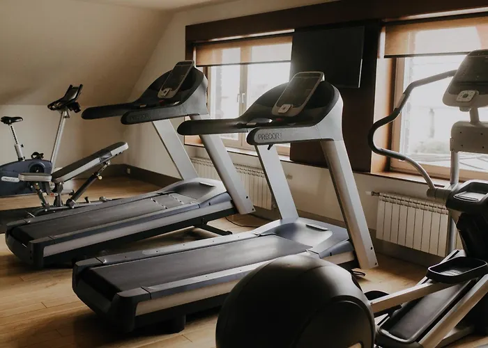 瓦西尼克酒店 4*