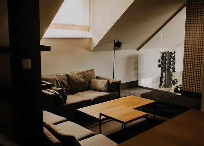 瓦西尼克酒店 4* Zduny (Krotoszyn)