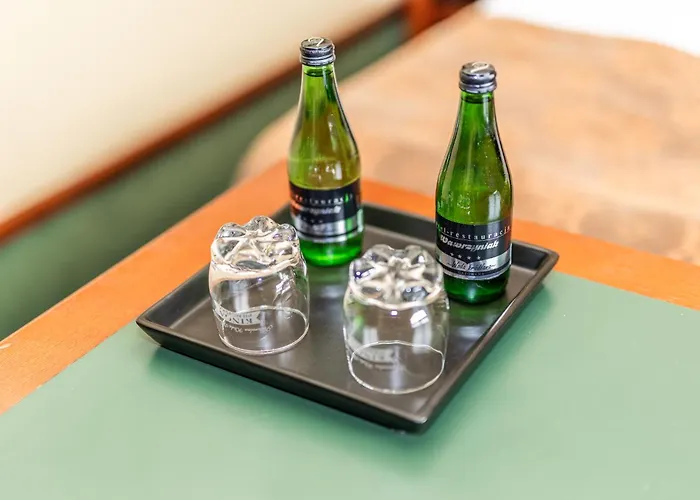 瓦西尼克酒店 4* Zduny (Krotoszyn)