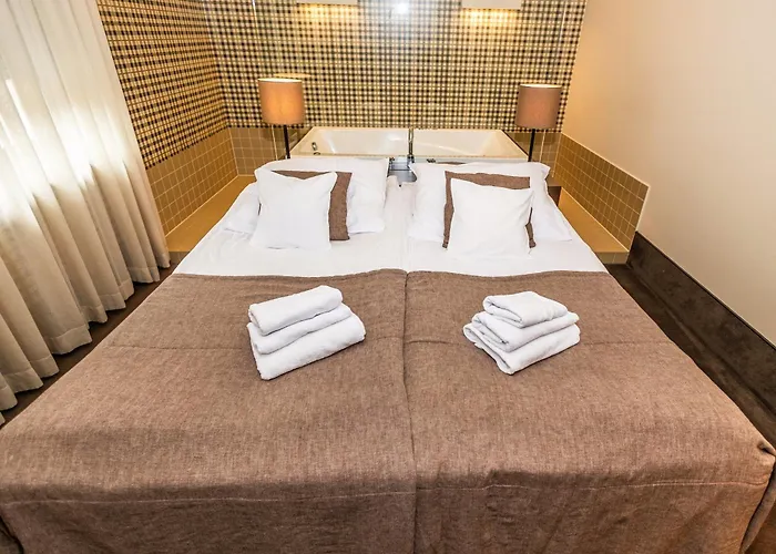 瓦西尼克酒店 酒店