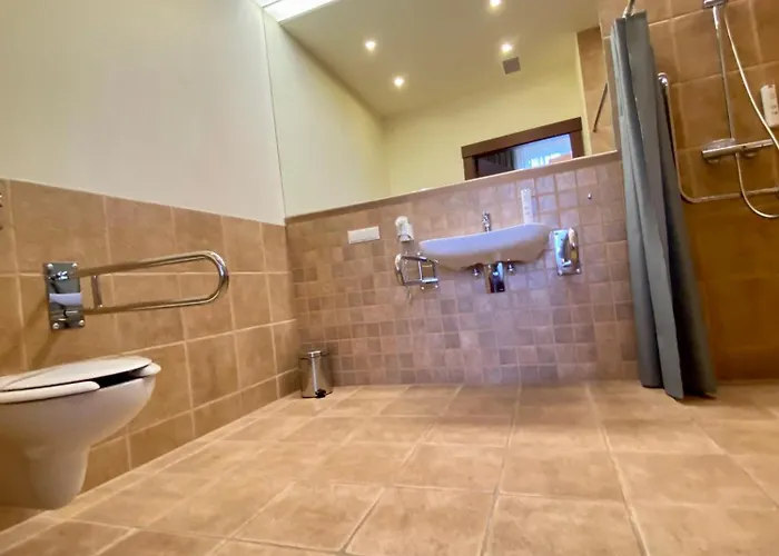 瓦西尼克酒店 酒店 4*